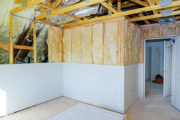 Best Eco-Friendly or Green Insulation Solutions  in Columbus, WI